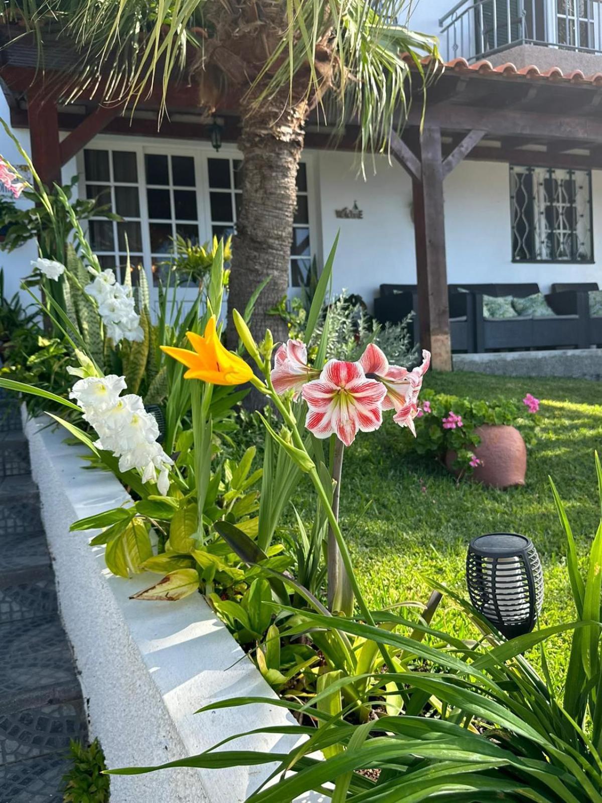 O Meu Sonho Calheta (Madeira) Exterior foto