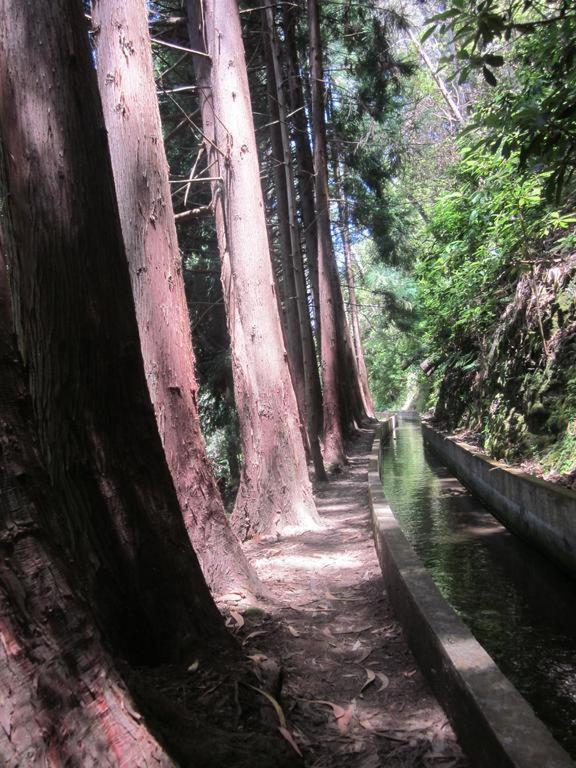 O Meu Sonho Calheta (Madeira) Exterior foto